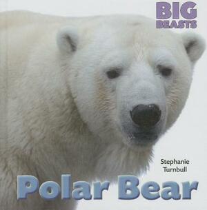 Polar Bear by Stephanie Turnbull