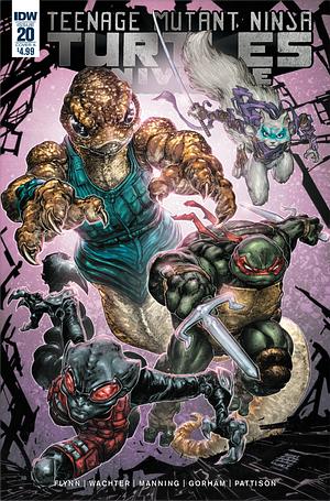 Teenage Mutant Ninja Turtles Universe #20 by Matthew K. Manning, Ian Flynn