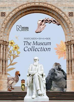 The Museum Collection: Postcards in a Box by Natural History Museum
