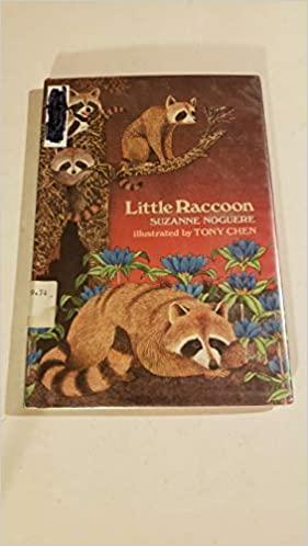 Little Raccoon by Suzanne Noguere