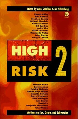 High Risk 2: Writings on Sex, Death, and Subversion by Darius James, Patrick McGrath, Stewart Home, Kate Pullinger, Leslie Dick, Amy Scholder, Ira Silverberg, John Giorno, Diamanda Galás