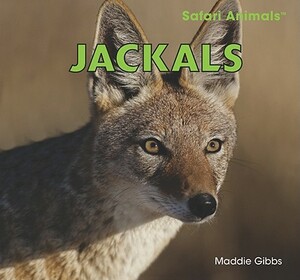 Jackals by Maddie Gibbs