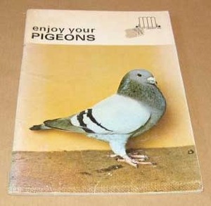 enjoy your PIGEONS by Earl Schneider