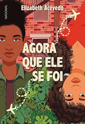 Agora que ele se foi by Elizabeth Acevedo