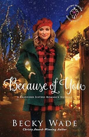 Because of You by Becky Wade