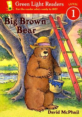 Big Brown Bear by David M. McPhail