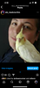 mochomito's profile picture