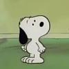 varja's profile picture