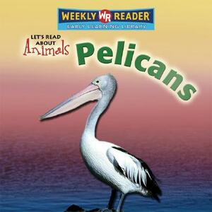 Pelicans by Kathleen Pohl