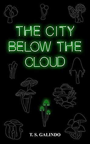 The City Below the Cloud by T.S. Galindo