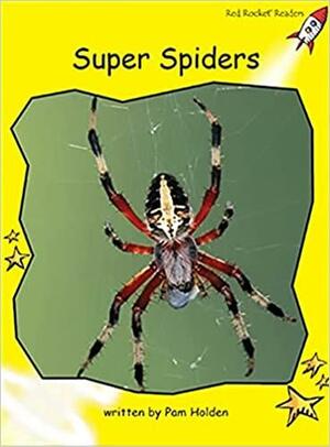 Super Spiders by Pam Holden