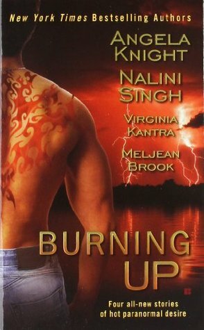 Burning Up by Meljean Brook, Nalini Singh, Angela Knight, Virginia Kantra
