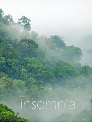 Insomnia by Andrew Smith