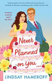 Never Planned on You by Lindsay Hameroff