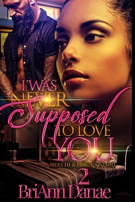 I Was Never Supposed To Love You 2: Meechi & Erica's Story by BriAnn Danae