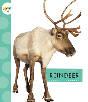 Reindeer by Anastasia Suen