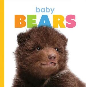 Baby Bears by Kate Riggs