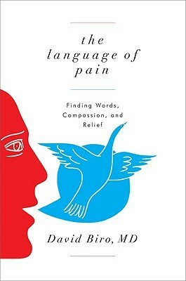 The Language of Pain: Finding Words, Compassion, and Relief by David Biro