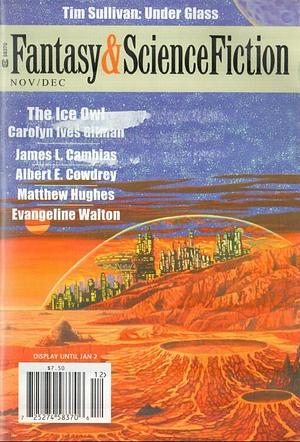 Fantasy & Science Fiction, November/December 2011 (The Magazine of Fantasy & Science Fiction, #698) by Gordon Van Gelder