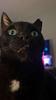 kcvetan's profile picture