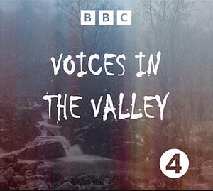 Voices in the Valley by Andrew Michael Hurley