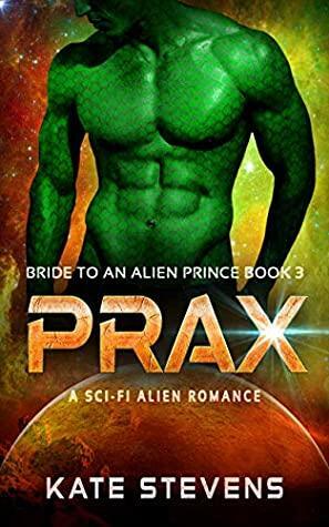 Prax by Kate Stevens