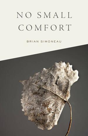No Small Comfort by Brian Simoneau