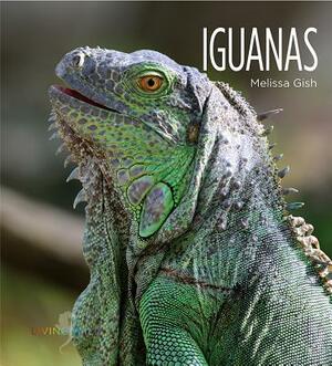 Iguanas by Melissa Gish