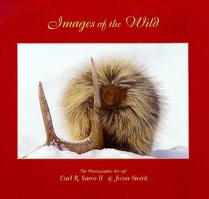Images of the Wild by Colleen Monroe