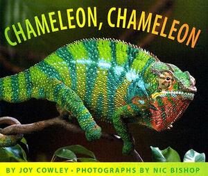 Chameleon, Chameleon by Joy Cowley