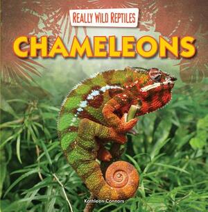 Chameleons by Kathleen Connors