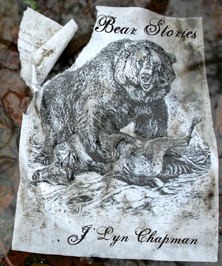 Bear Stories by J'Lyn Chapman