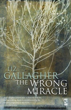 The Wrong Miracle by Liz Gallagher