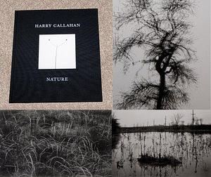 Nature by Harry M. Callahan, Pace/MacGill