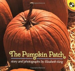 The Pumpkin Patch by Elizabeth King