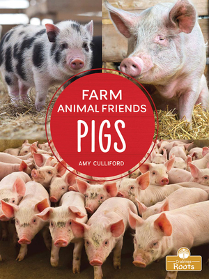 Pigs by Amy Culliford