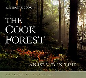 Cook Forest by Anthony E. Cook