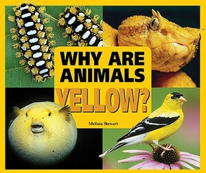 Why Are Animals Yellow? by Melissa Stewart
