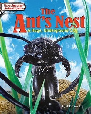 The Ant's Nest: A Huge, Underground City by Miriam Aronin