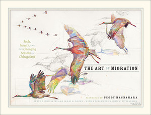 The Art of Migration: Birds, Insects, and the Changing Seasons in Chicagoland by John W. Fitzpatrick, Peggy Macnamara, John Bates, James H. Boone