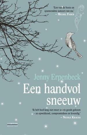 Een handvol sneeuw by Jenny Erpenbeck