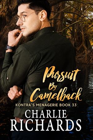 Pursuit by Camelback by Charlie Richards