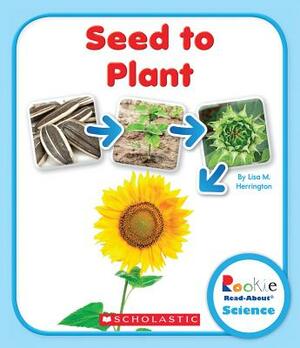 Seed to Plant by Lisa M. Herrington