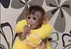 meighree_andreez's profile picture