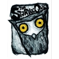 The Staring Owl by Luke Edwards