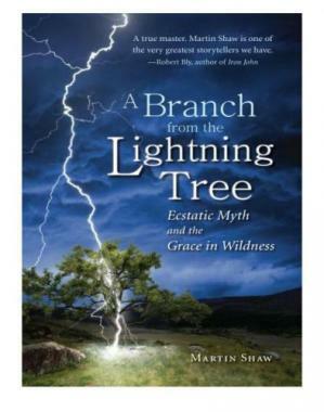 A Branch from the Lightning Tree: Ecstatic Myth and the Grace of Wildness by Martin Shaw