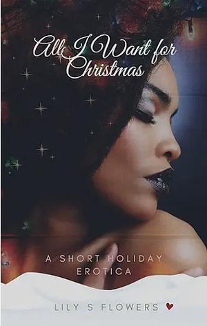 All I Want for Christmas : A Holiday Romance by Lily S. Flowers, Lily S. Flowers