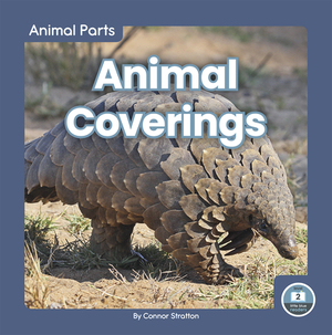 Animal Coverings by Connor Stratton