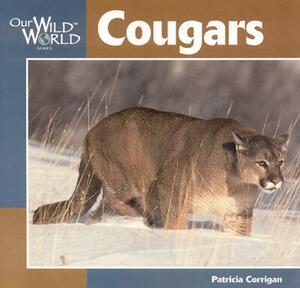 Cougar by Patricia Corrigan