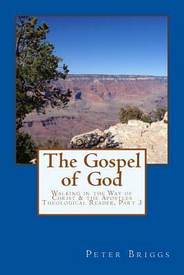 The Gospel of God: Walking in the Way of Christ & the Apostles Theological Reader, Part 3 by Peter Briggs